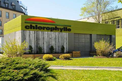 Chlorophylle Haute Technologie